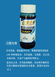 濰坊登峰有機農藥技術開發 創新引領綠色農業未來